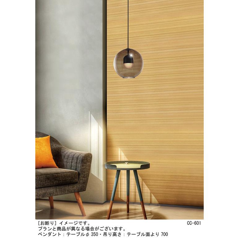 Panasonic（パナソニック） ペンダントライト 配線ダクトレール用 60形