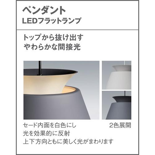 Panasonic（パナソニック） ペンダントライト 配線ダクトレール用 100