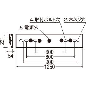 全品限定セール ODELIC　LED非常用照明器具 階段通路誘導灯兼用型 直付 逆富士型 温白色 FLR40W×2灯相当 高演色 LEDユニット付き　XR506005R2D