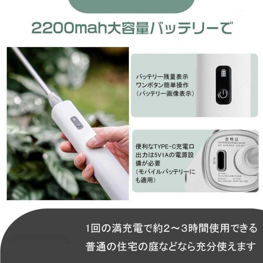 2026年最新・シャワーノズルも贈る】電動噴霧器 充電式 バッテリー式