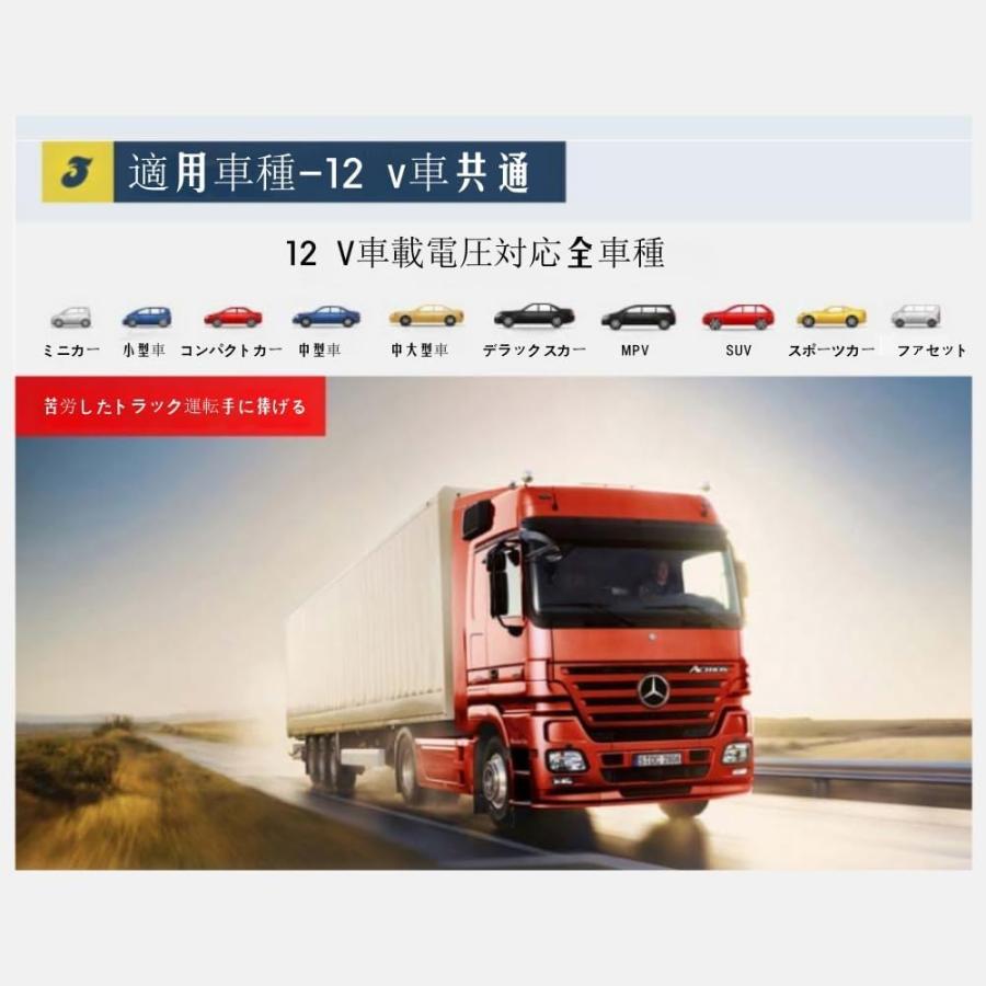 車載冷蔵庫 ポータブル冷蔵庫 小型 6L 保温保冷庫 5℃〜65℃ DC12V