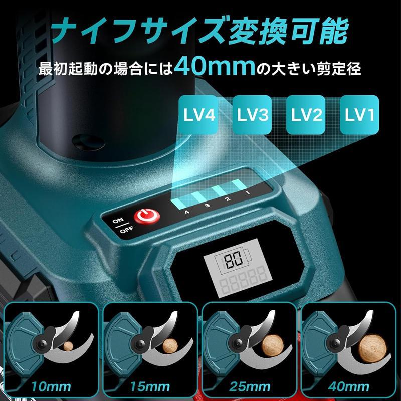 70677924_5