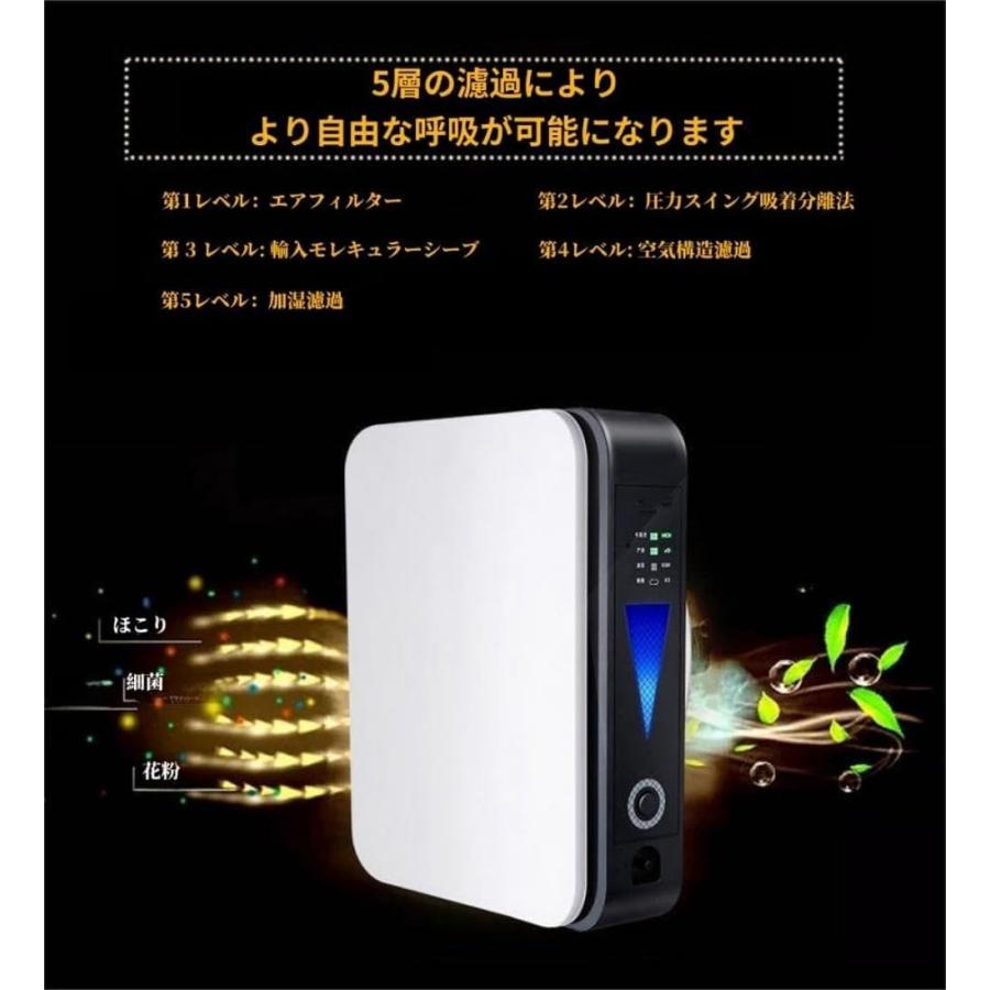 家庭用酸素発生器　2026年度製　 付属品揃ってます 2026新登場 酸素発生器 酸素濃縮器 酸素吸入器 酸素缶 空気濃縮器