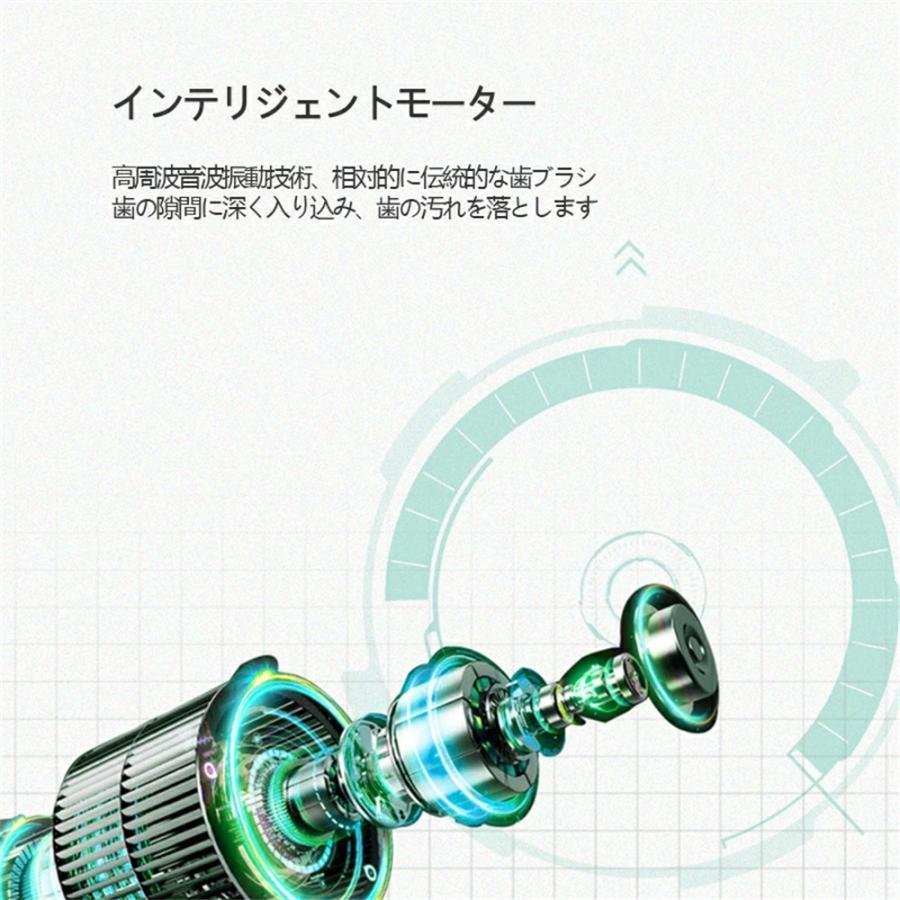 正規品 口腔洗浄器 ジェットウォッシャー 歯垢除去 強弱切り替え 口内