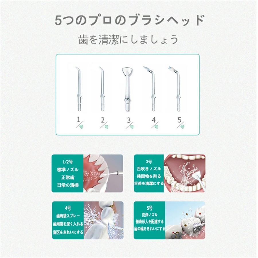 正規品 口腔洗浄器 ジェットウォッシャー 歯垢除去 強弱切り替え 口内