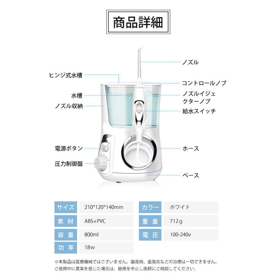 口腔洗浄器 ジェットウォッシャー 歯垢除去 電動 口内洗浄機 大容量