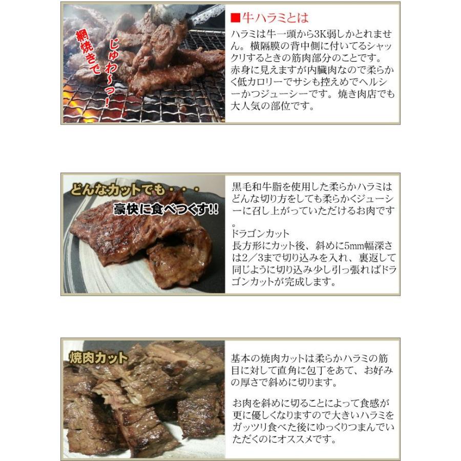 特選牛ハラミ  国産牛脂使用　約1kg　やわらか牛ハラミ　メガ大盛り！｜allmeat-co｜04