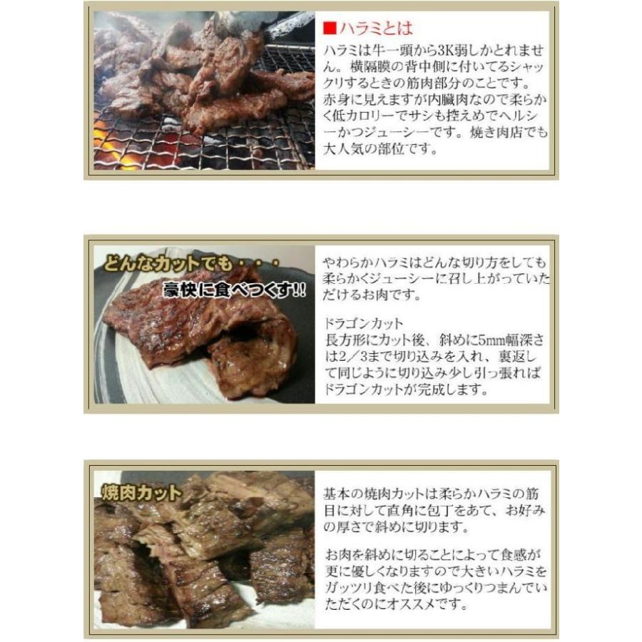 業務用　やわらか牛ハラミ　メガ大盛り　1kg｜allmeat-co｜03