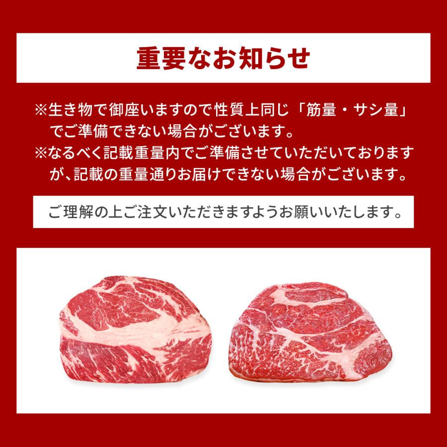 ステーキ肉 塊肉 かたまり肉 冷蔵直送 暫定重量1.0kg 特上ステーキ