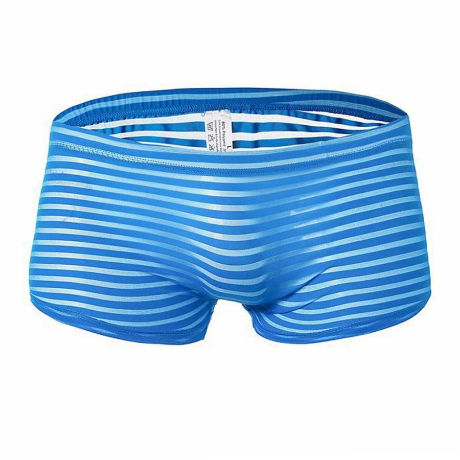 激安単価で 下着 メンズ ボクサーパンツ ストレッチ ボーダー シースルー 男性下着 ボクサーブリーフ ローライズ Lサイズ ブルー Hirshmark Com