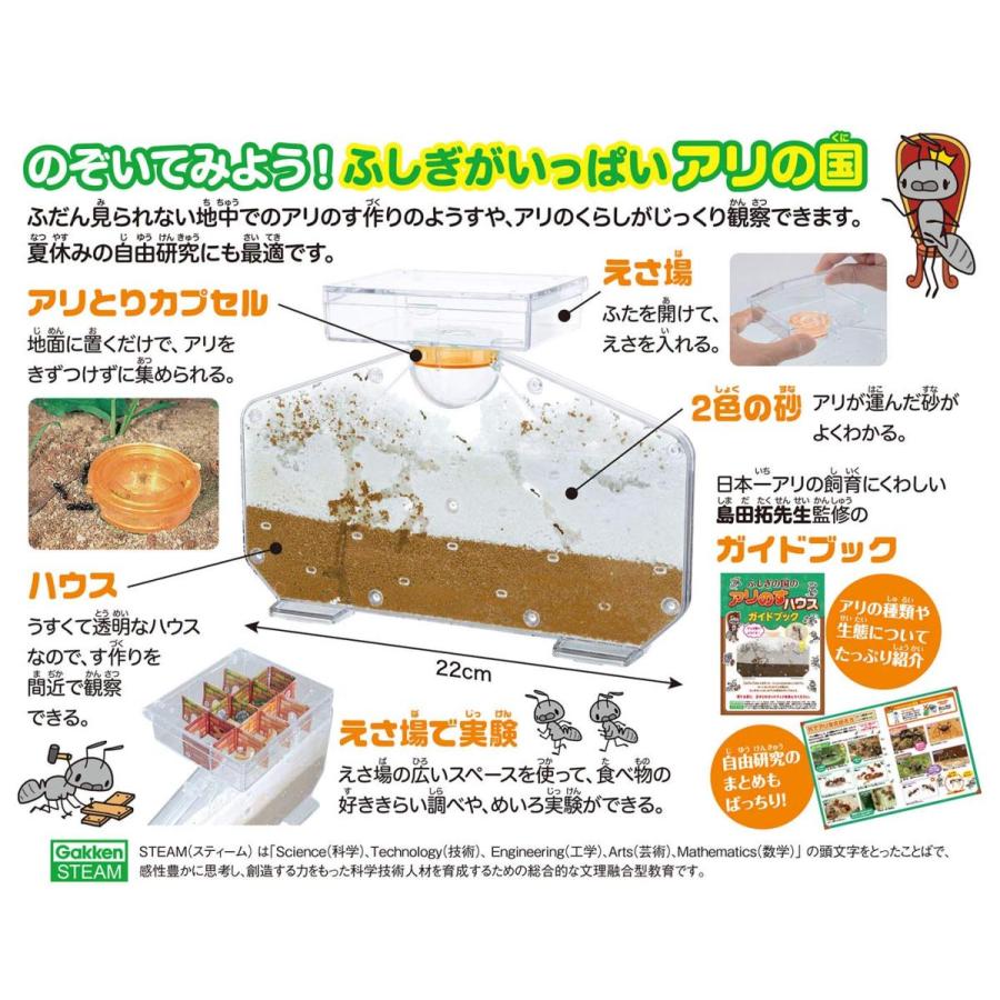 ふしぎの国のアリのすハウス アリの巣観察キット 学研ステイフル