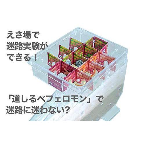 ふしぎの国のアリのすハウス アリの巣観察キット 学研ステイフル