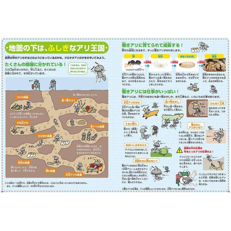 ふしぎの国のアリのすハウス アリの巣観察キット 学研ステイフル