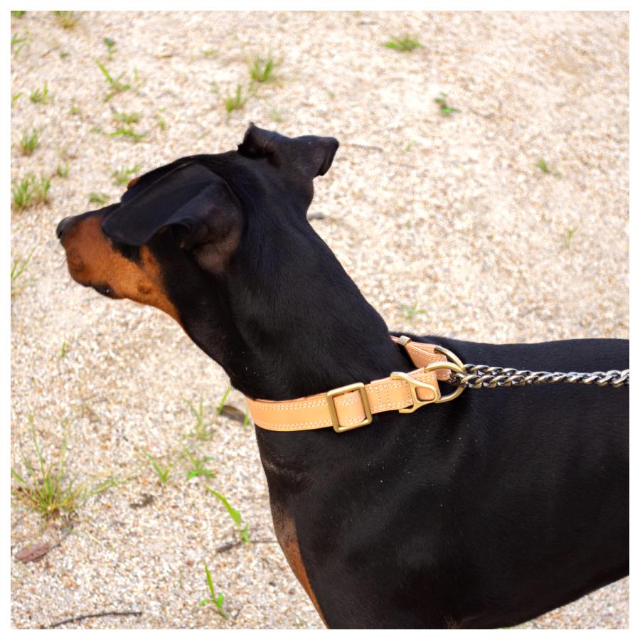 首輪 本革 大型犬 犬 ペット エイ革 レザー シンプルR41 42 44 45 楽天市場】AXELLE レザー製 中大型犬用 首輪一体型リード ヌメ