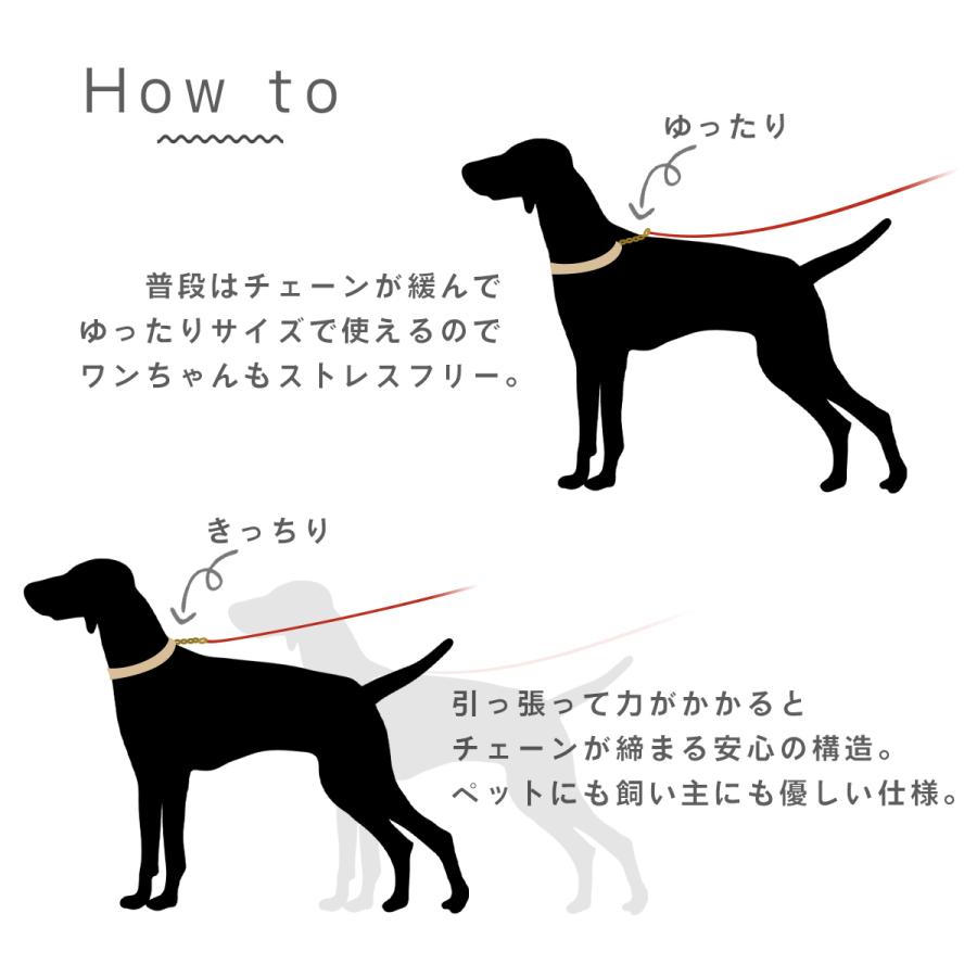 RafiCaro（ラフィカロ） 首輪 革 レザー 犬 大型犬 ハーフチョーク 本