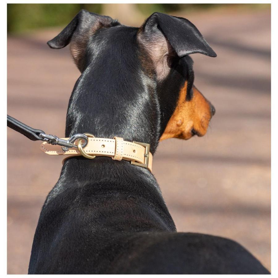 RafiCaro（ラフィカロ） 首輪 犬 猫 小型犬 レザー 犬 首輪 おしゃれ