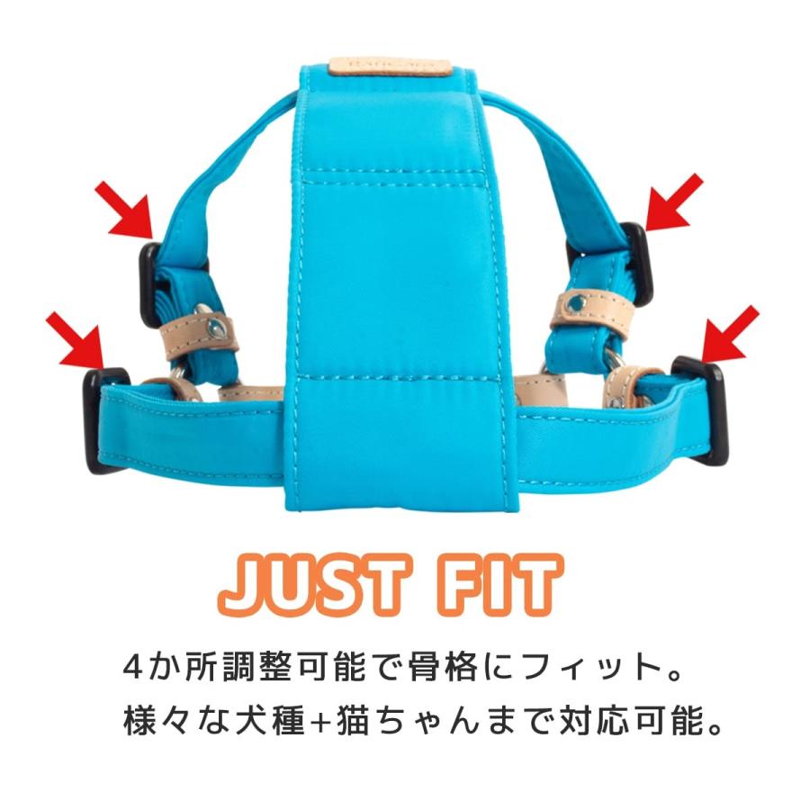 RafiCaro（ラフィカロ） ハーネス 犬 革 本革 イタリアンレザー