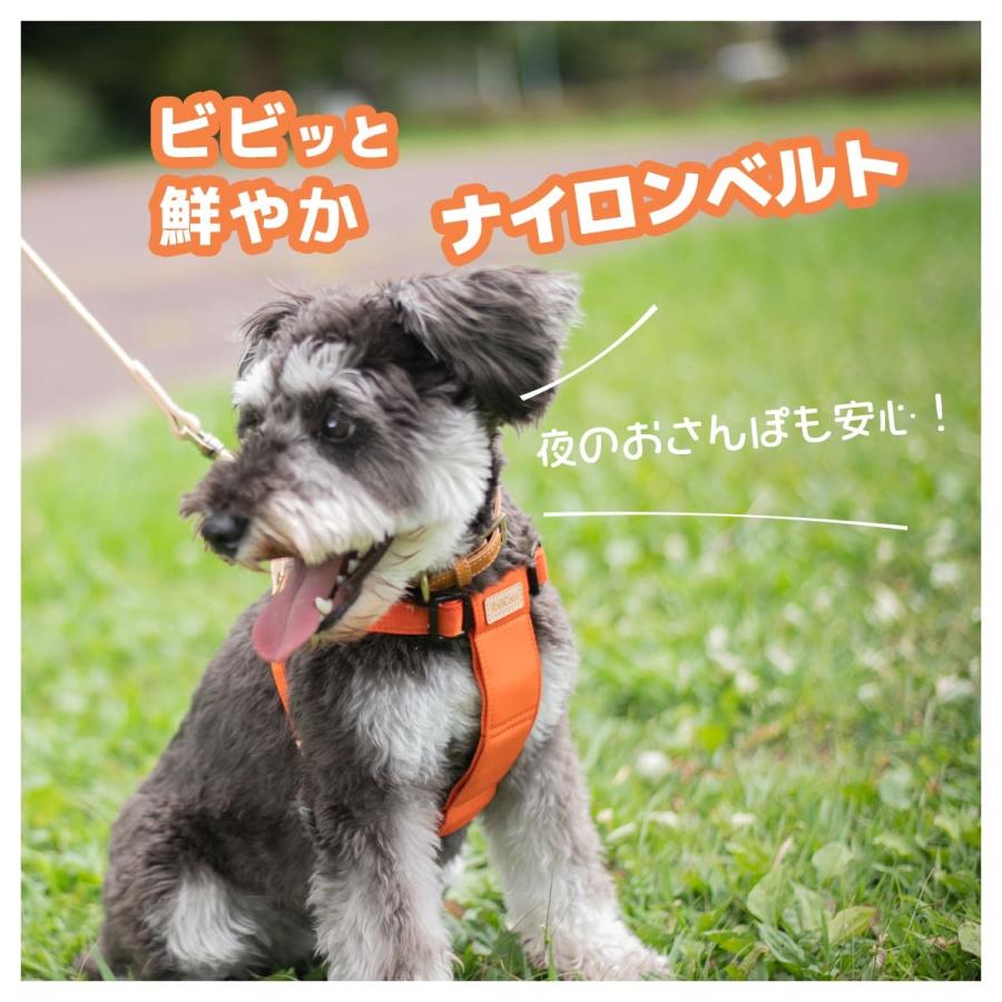 RafiCaro（ラフィカロ） ハーネス 犬 革 本革 イタリアンレザー