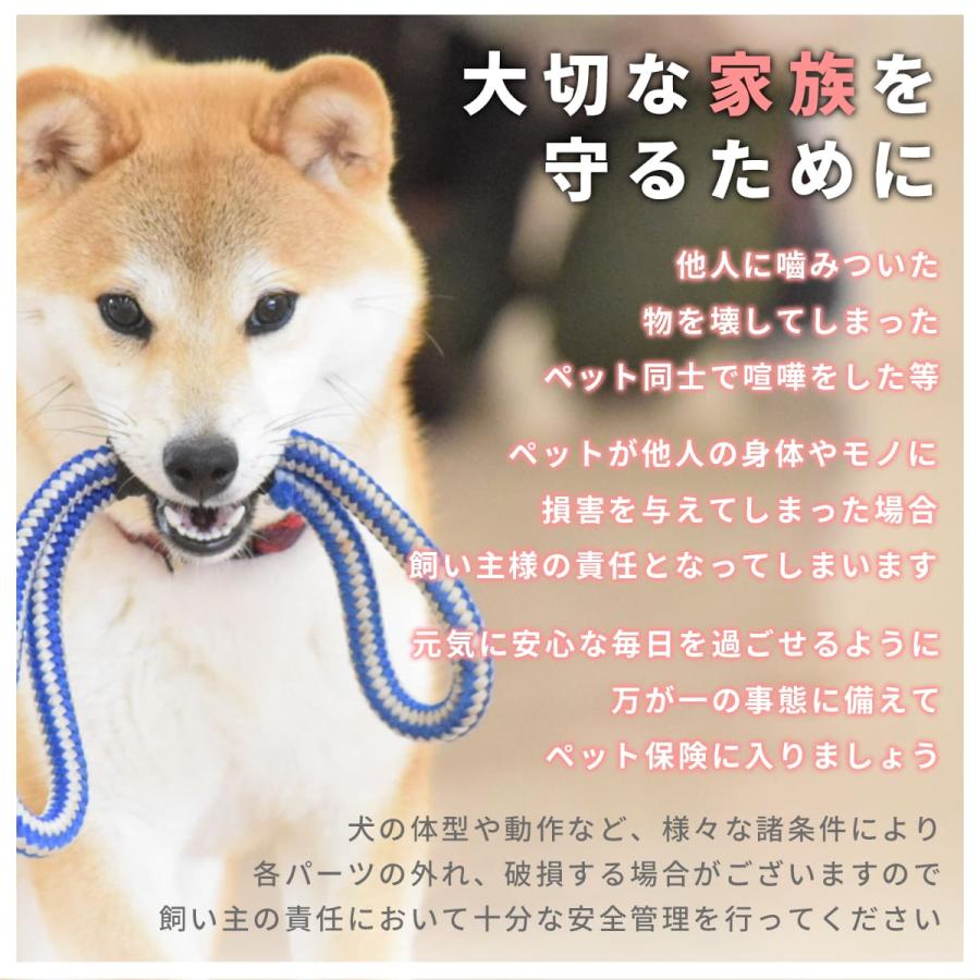RafiCaro リード 犬 ペット用 本革 牛革 ブランド イタリアンレザー