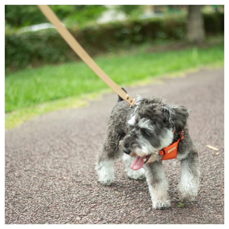 RafiCaro（ラフィカロ） リード 犬 ペット用 本革 牛革 ブランド