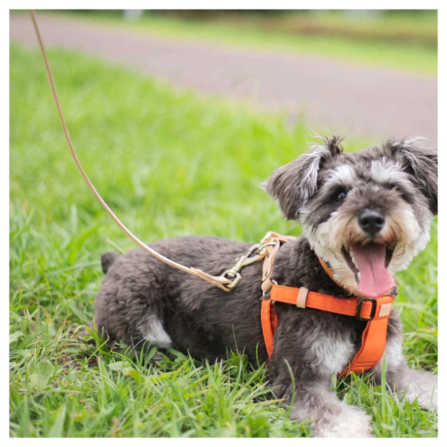 RafiCaro（ラフィカロ） リード 犬 ペット用 本革 牛革 ブランド