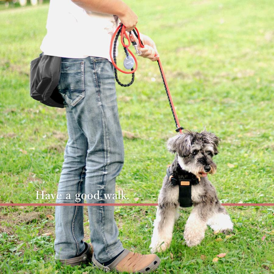 RafiCaro ラフィカロ お散歩バッグ 犬 小型犬 犬用 本革 ウエストバッグ マナーポーチ エチケット 多機能 便利 ペットボトル お散歩エプロン 手ぶら ブランド All Right Leather - 通販 - Yahoo ショッピング