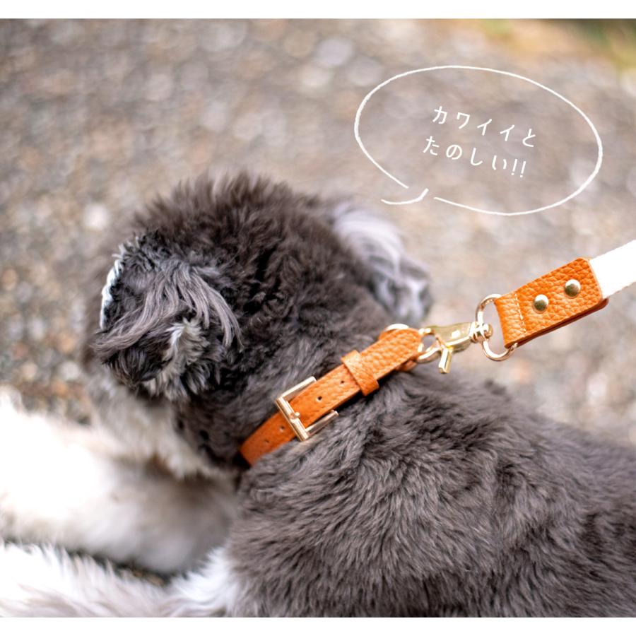 RafiCaro（ラフィカロ） 首輪 犬 おしゃれ レザー ブランド 牛革