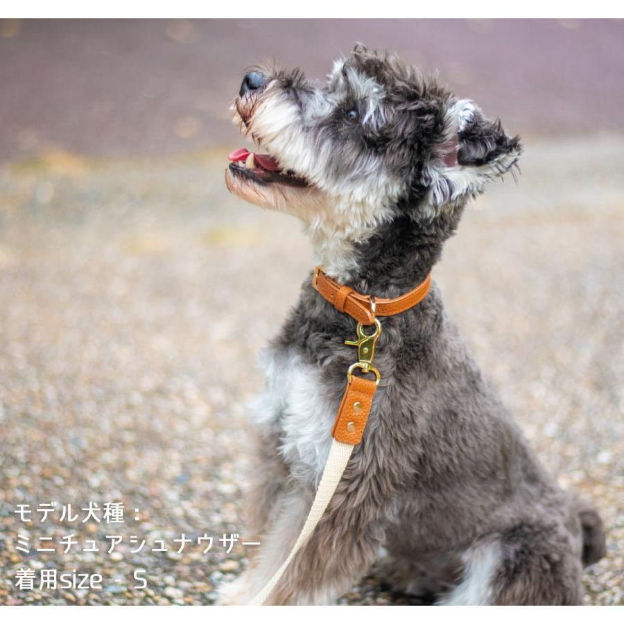 首輪 犬 おしゃれ レザー ブランド 牛革 かわいい 小型犬 中型犬 軽い Dカン トイプードル チワワ ミニチュアダックス 柴犬 猫 Togo Raficaro Otz7330 All Right Leather 通販 Yahoo ショッピング