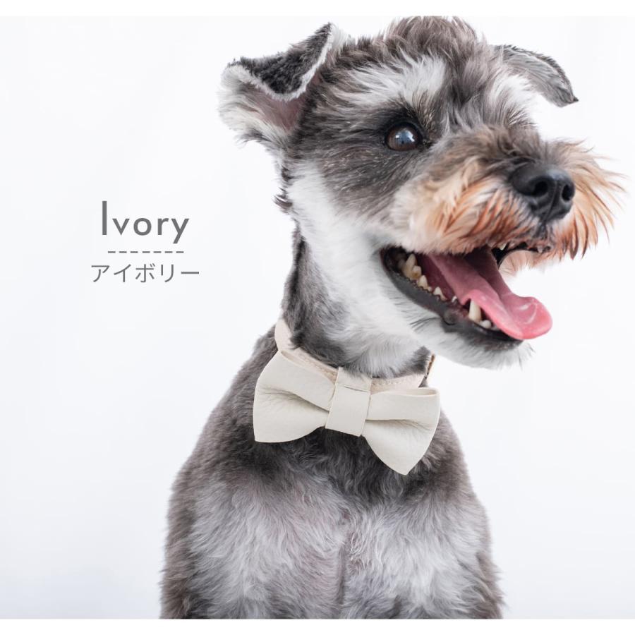 RafiCaro（ラフィカロ） 犬 首輪リボン 小型犬 中型犬 牛革 レザー