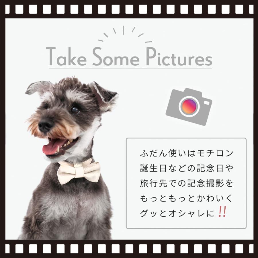 RafiCaro（ラフィカロ） 犬 首輪リボン 小型犬 中型犬 牛革 レザー