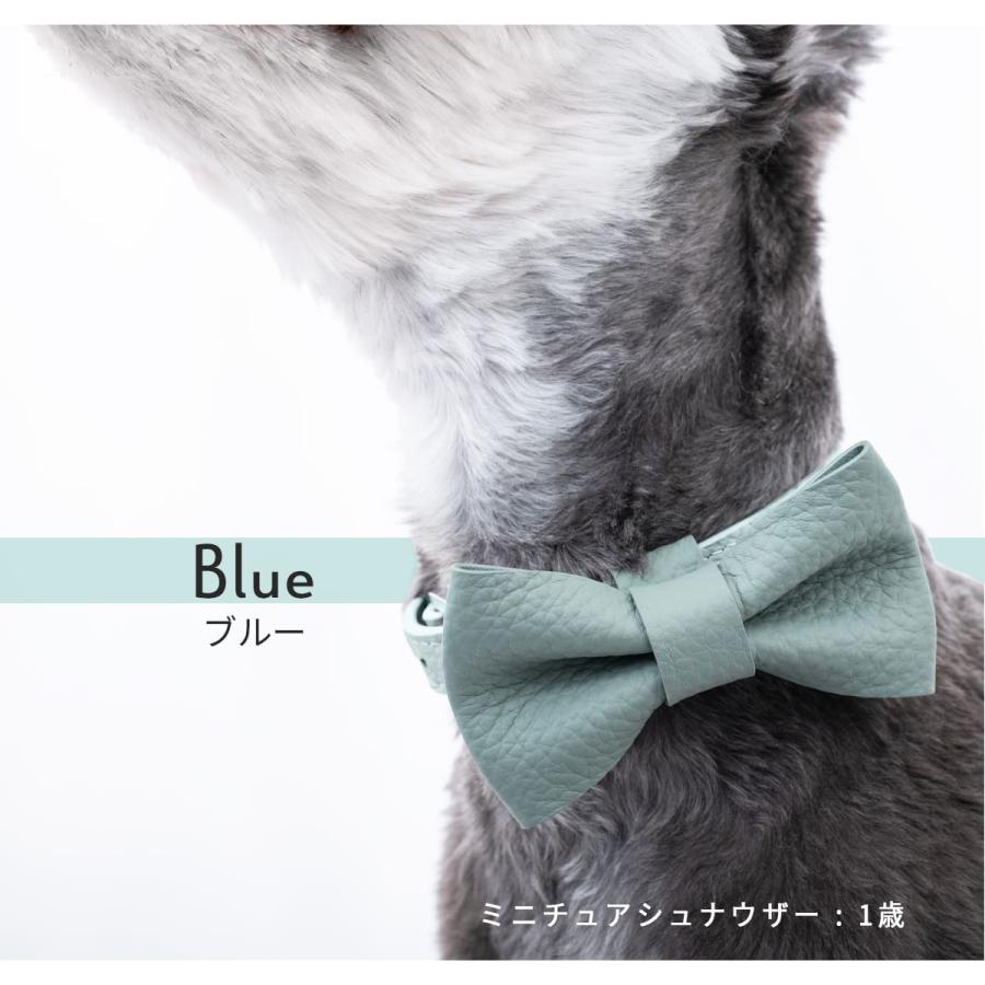 RafiCaro（ラフィカロ） 犬 首輪リボン 小型犬 中型犬 牛革 レザー