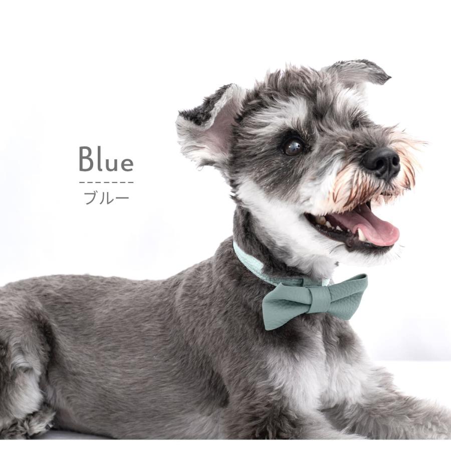 RafiCaro（ラフィカロ） 犬 首輪リボン 小型犬 中型犬 牛革 レザー