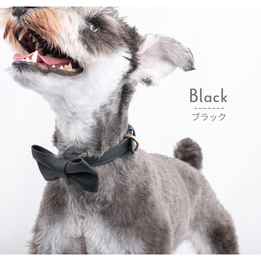 CHARLES & KEITH 犬用リボン首輪&リード RafiCaro（ラフィカロ） 犬 首輪リボン 小型犬 中型犬 牛革 レザー