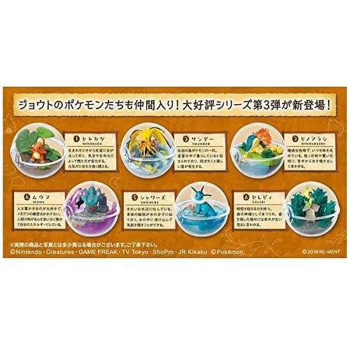 テラリウム コレクション 3 6個入 食玩 ガム ポケモン ゲームキャラクター Www Bollywoodpapa Com