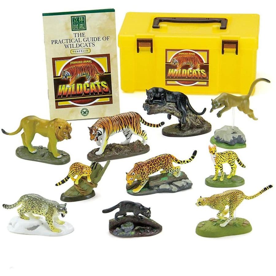 人気 おすすめ 立体図鑑リアルフィギュアボックス ワイルドキャット ネコ科動物
