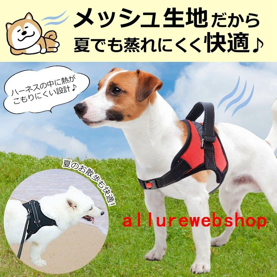 ラフィカロ ハーネス 小型犬 中型犬 犬用 ドッグ軽い リード ブルー 犬用胴輪 丈夫 人気 おしゃれ 首輪 簡単装着 犬ハーネス 着脱簡単