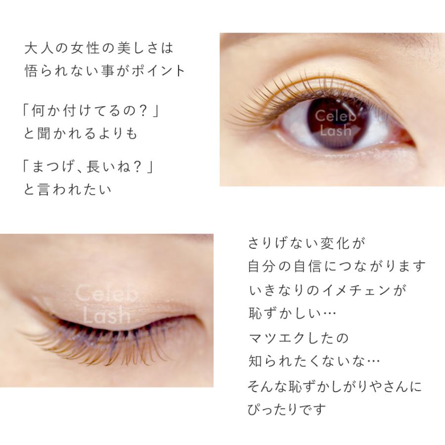 ブラウン 新プレミアム セレブラッシュ 10本束 ナチュラル まつげ