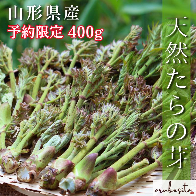 【予約・ポイント5倍】山形県産 山菜 たらの芽　400g　5月上旬〜（Yahoo!・Freshfruits アルベシタ）