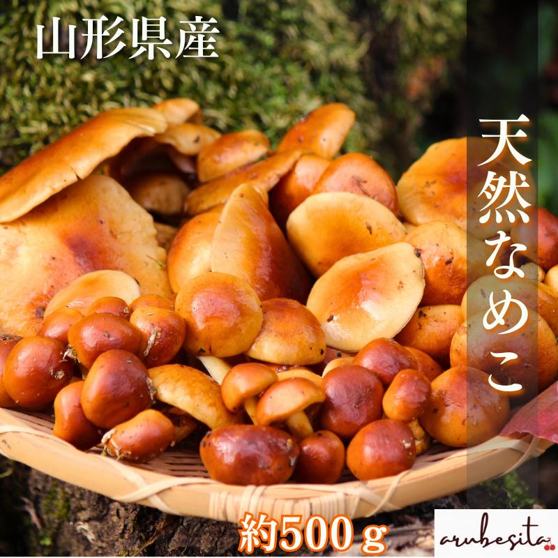 先行予約特価□山形県産 超希少 天然なめこ 約500g 12月上旬頃