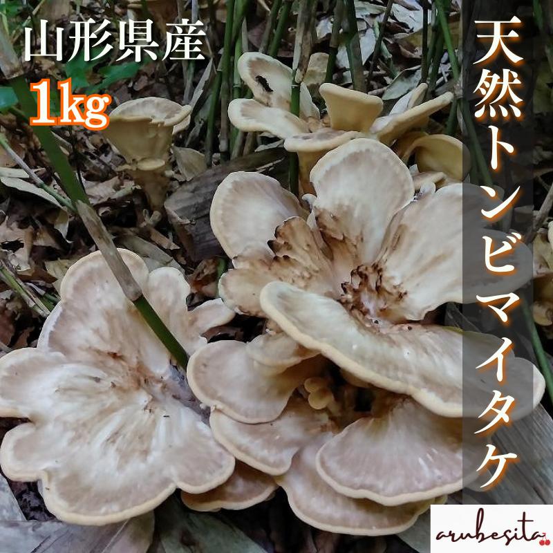 予約□山形県産 きのこ 天然トンビマイタケ（とびたけ） 1kg 8月中旬