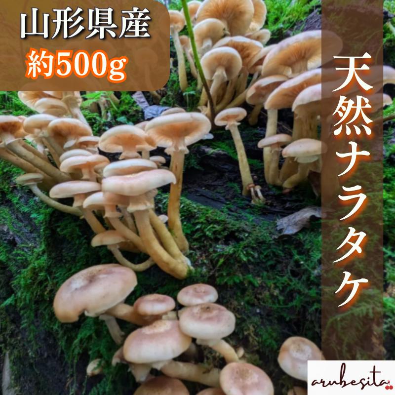 予約□天然ナラタケ（沢モダシ等）約500g 10月中旬〜 : Freshfruits