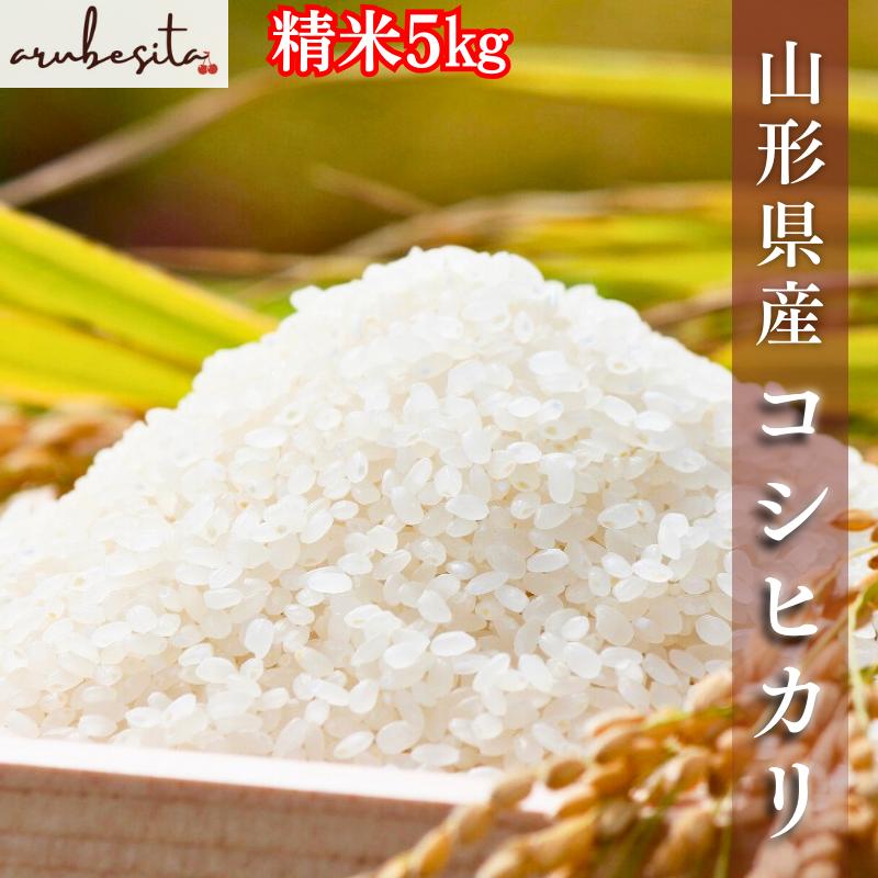 予約□山形県産 令和7年産 コシヒカリ つきたて精米5kg 生産者限定品