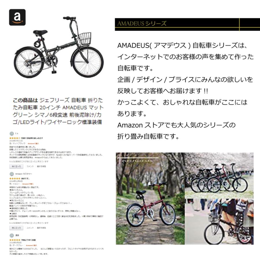 折りたたみ式自転車（AMADEUS）と空気入れ