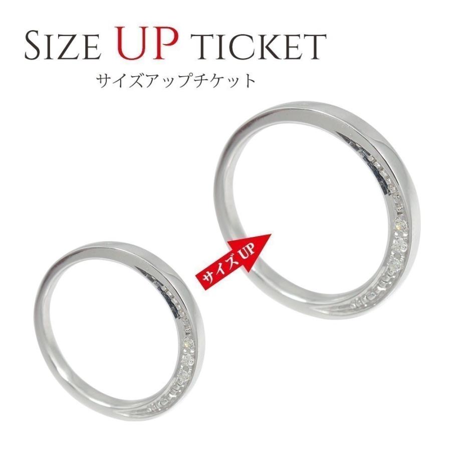 サイズアップチケット 11000円券