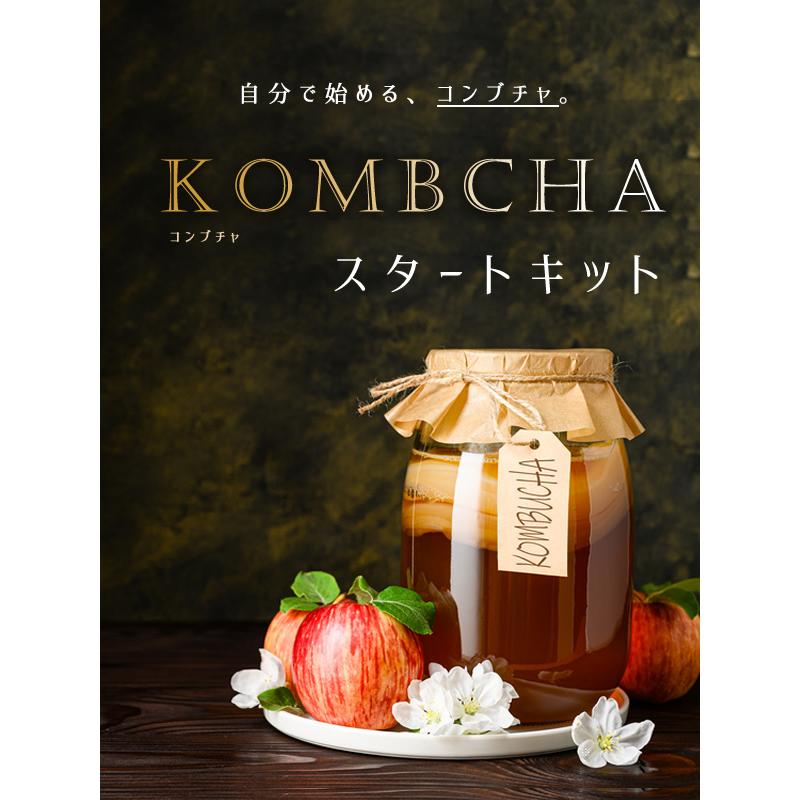 紅茶キノコ健康法 中満須磨子著 KOMBUCHA コンブチャ 古書 紅茶キノコ健康法 | 中満 須磨子 |本 | 通販 | Amazon