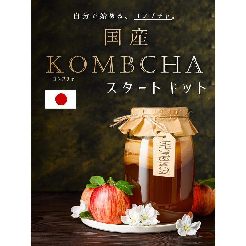 ALMARI（アルマリ） コンブチャ キット スコビー スコービー 紅茶