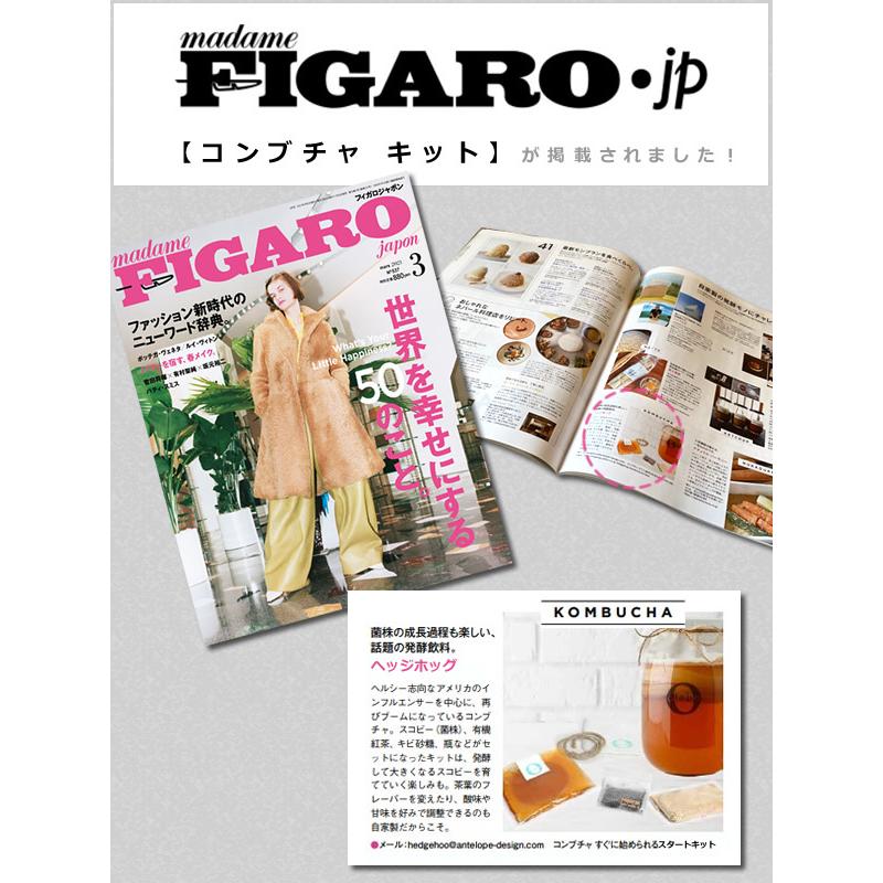 ALMARI（アルマリ） コンブチャ キット スコビー スコービー 紅茶