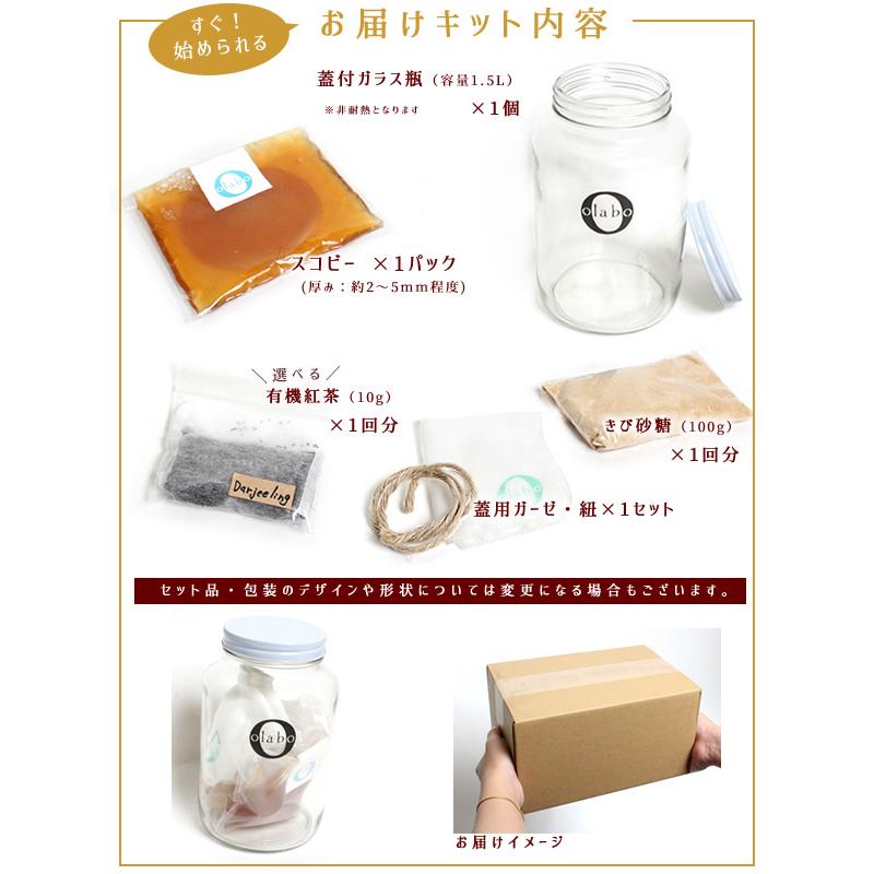 コンブチャ キット スコビー スコービー 紅茶キノコ きのこ 株 こんぶ茶 scoby 6点set コンブチャ スタートキット by Olabo ※返品交換不可　※ラッピング不可｜almari｜04