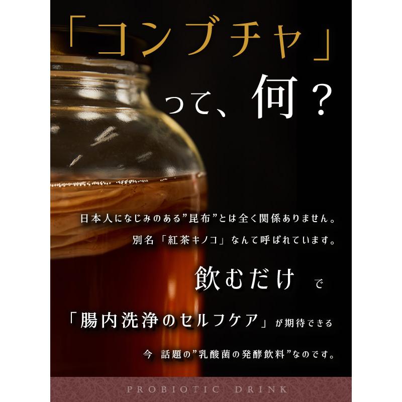 コンブチャ キット スコビー スコービー 紅茶キノコ きのこ 株 こんぶ茶 scoby 6点set コンブチャ スタートキット by Olabo ※返品交換不可　※ラッピング不可｜almari｜05