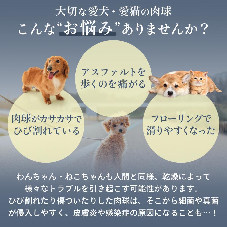 肉球 オイル 舐めても安心 保湿 ひび割れ 乾燥対策 犬 猫 ペット わんこ肌荒れ予防 アルガン配合 日本製 無添加 ペット 犬 猫 足裏ケア 肉球保護 国産 |  | 01